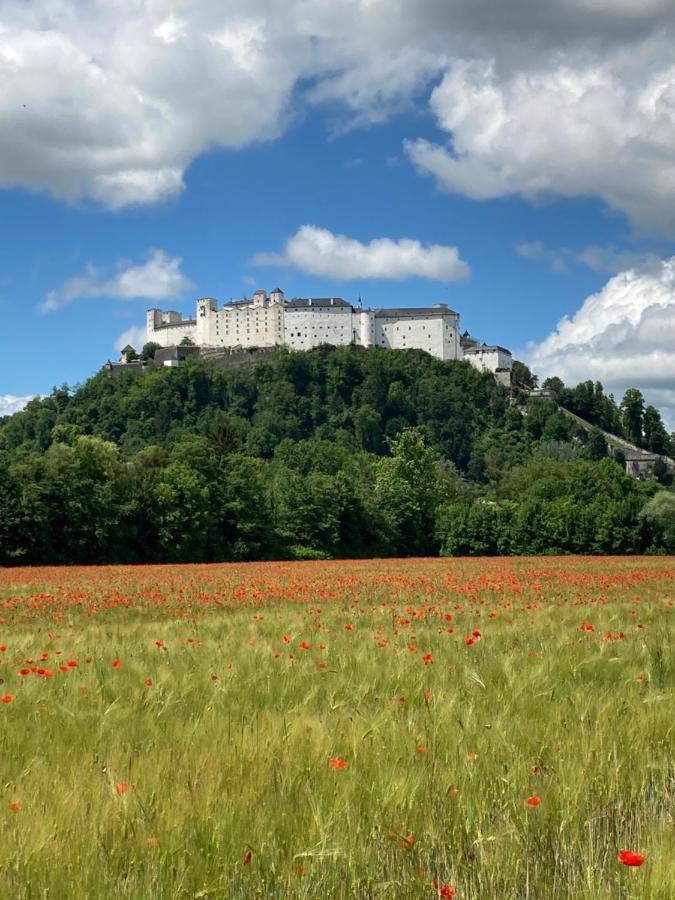 Haus Haslach Elsbethen Buitenkant foto